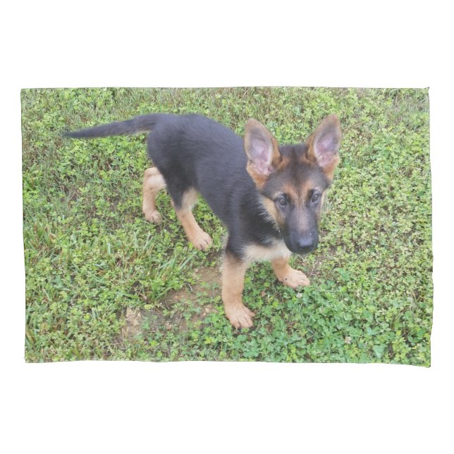 Puppy Protegido (Frente)