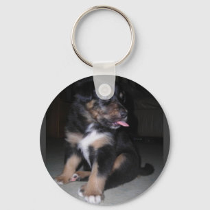 PUPPY RASPBERRY CHAVEIRO