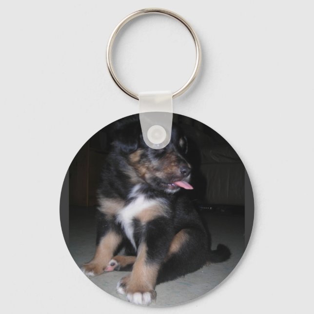 PUPPY RASPBERRY CHAVEIRO (Frente)