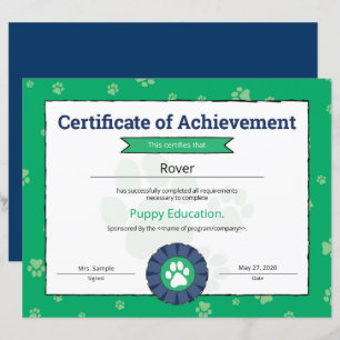 Puppy verde Pet Obedience School Pré-Puppy