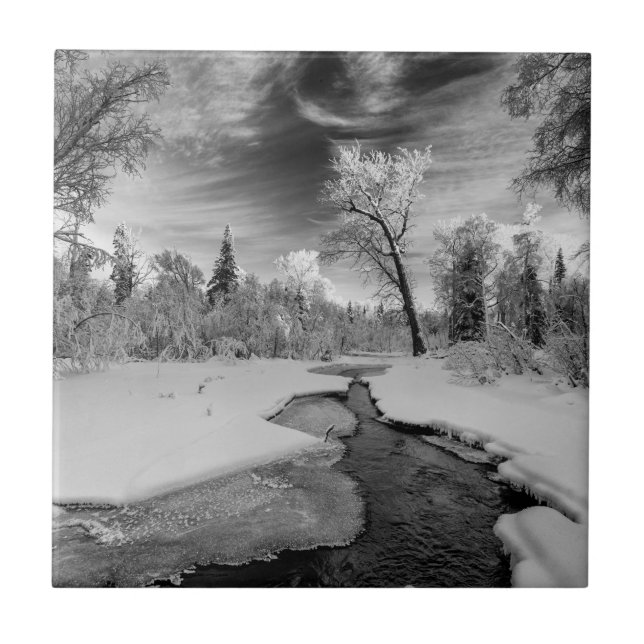 Pure Campbell Creek (Frente)