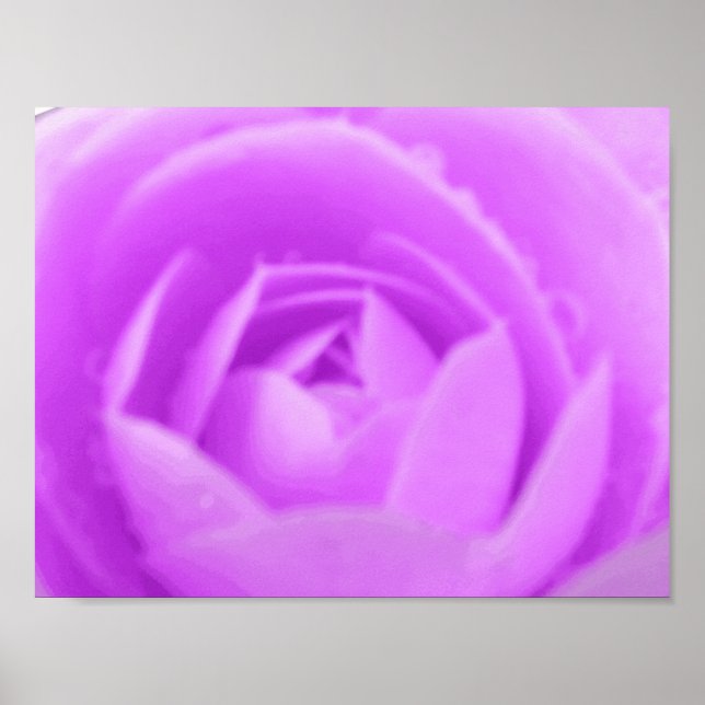 Purple Camellia Impressão (Frente)