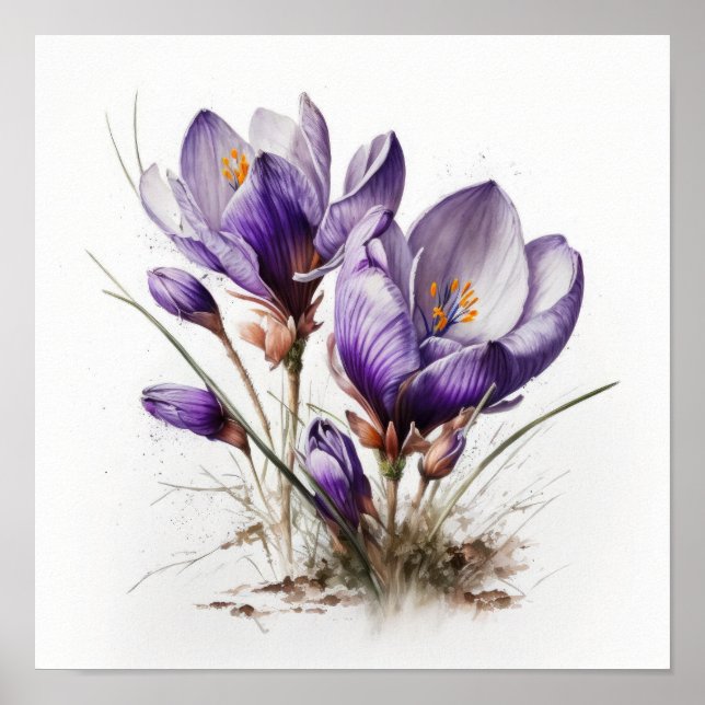 Purple Crocus Flowers Art Impressão Poster (Frente)