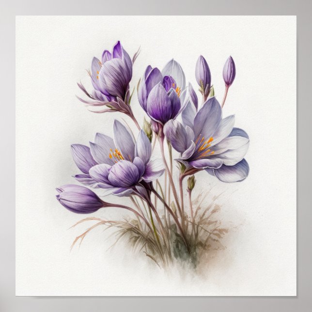 Purple Crocus Flowers Art Impressão Poster (Frente)