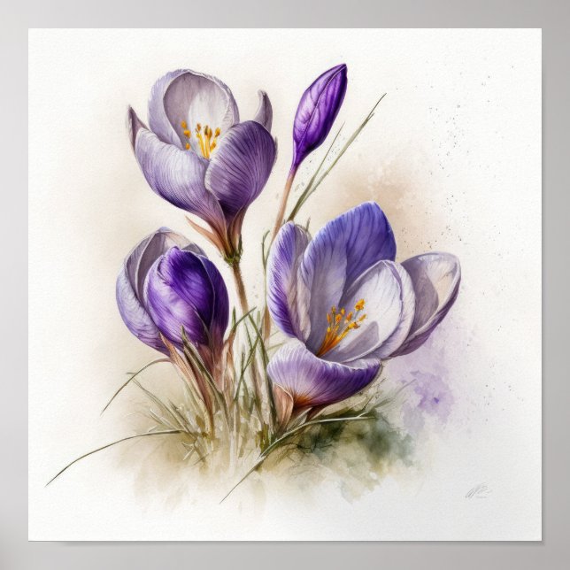 Purple Crocus Flowers Art Impressão Poster (Frente)