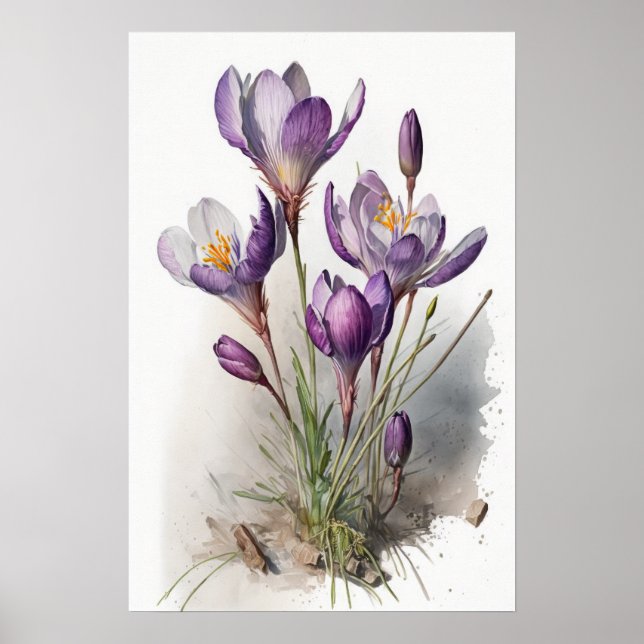 Purple Crocus Flowers Art Impressão Poster (Frente)