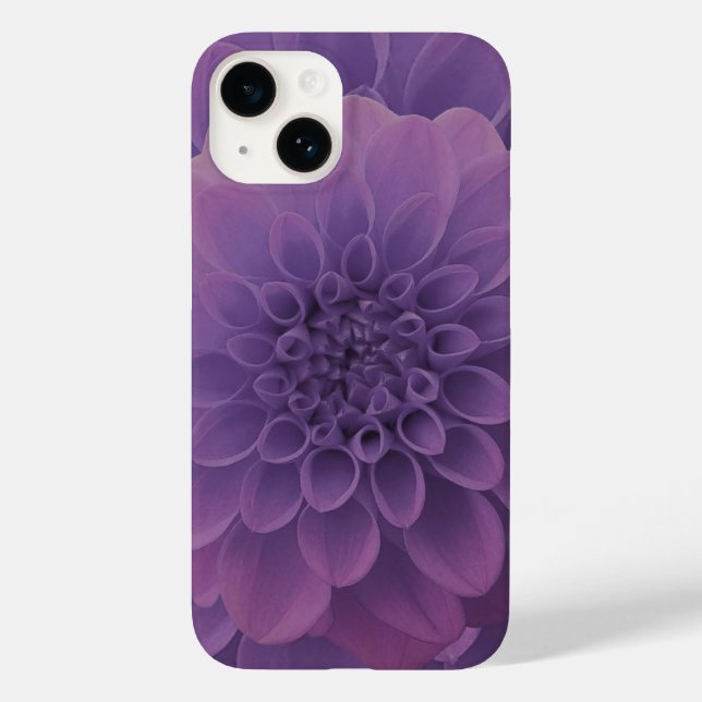 Purple Dahlia (Verso)