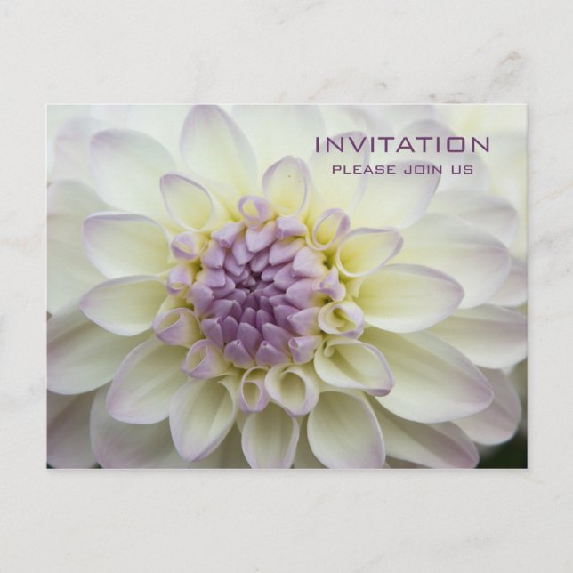 Purple Dahlia - Convite para Janto de ensaio (Frente)