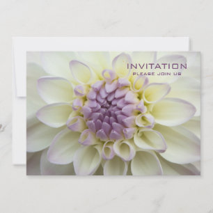 Purple Dahlia ・ Convite para Janto de ensaio