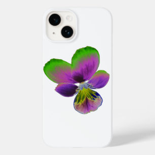 Purple e Green Pansy