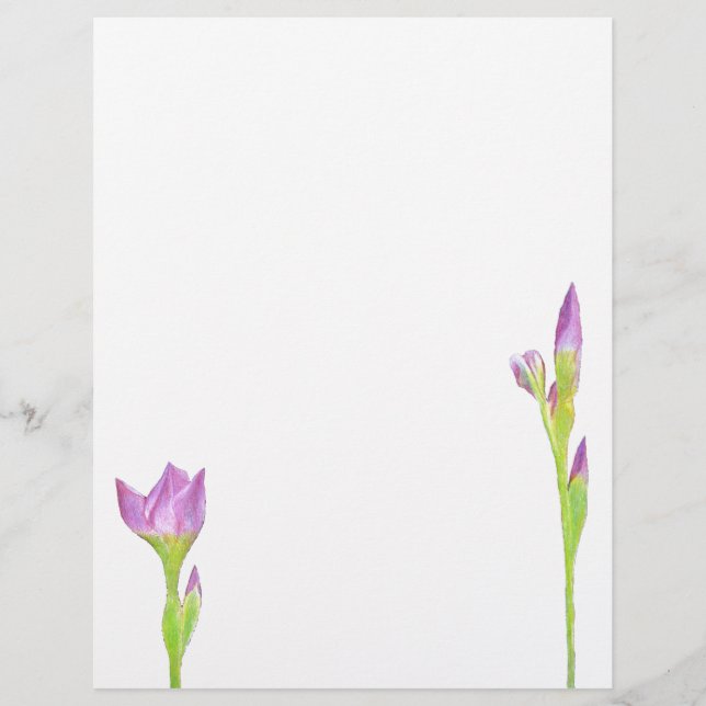 Purple Iris (Frente)