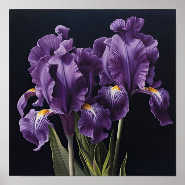 Purple Iriss Flower Art Impressão (Frente)
