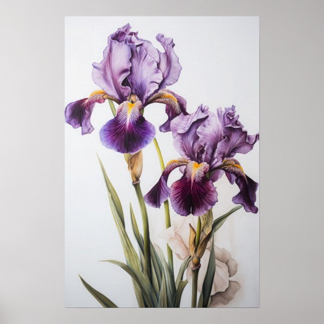 Purple Iriss Flower Art Impressão (Frente)