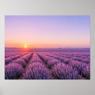 Purple Lavender Fields Poster - Provence France