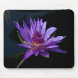 Purple Lotus Waterlily Mousepad