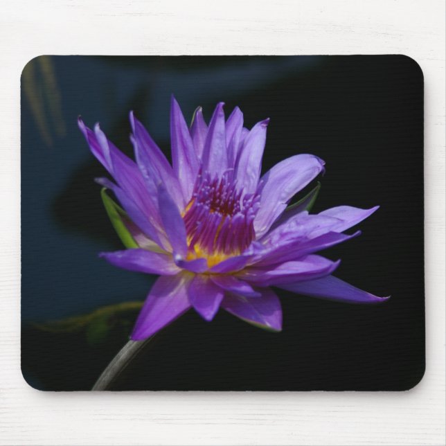Purple Lotus Waterlily Mousepad (Frente)