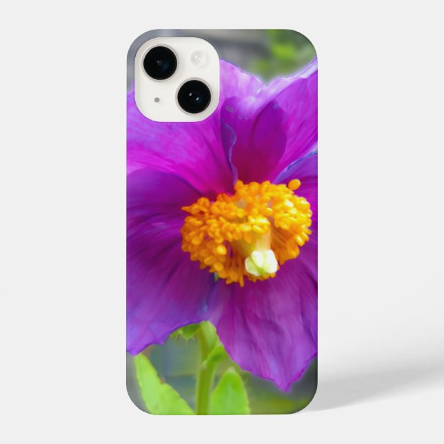 Purple poppy phone cover (Verso)