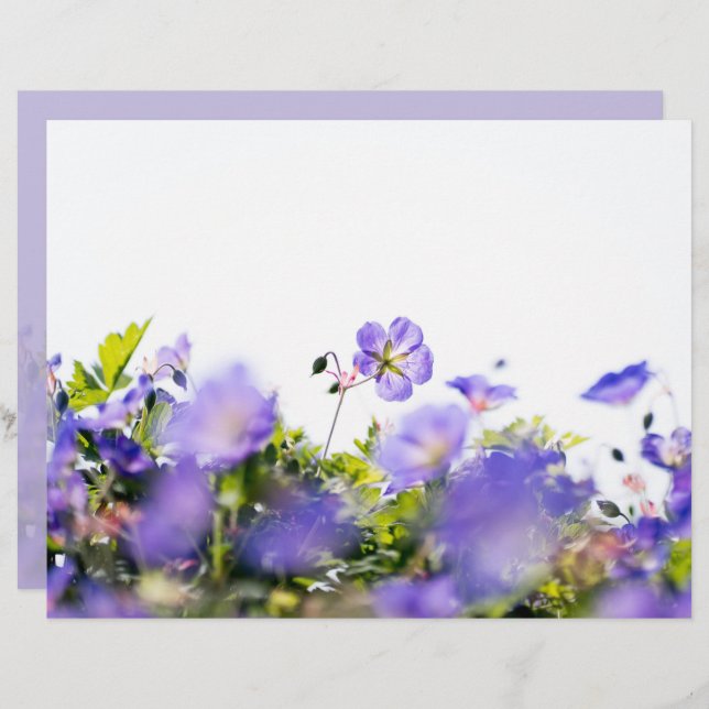 Purple Wildflower Two-Sided Scrapbook Paper (Frente/Verso)