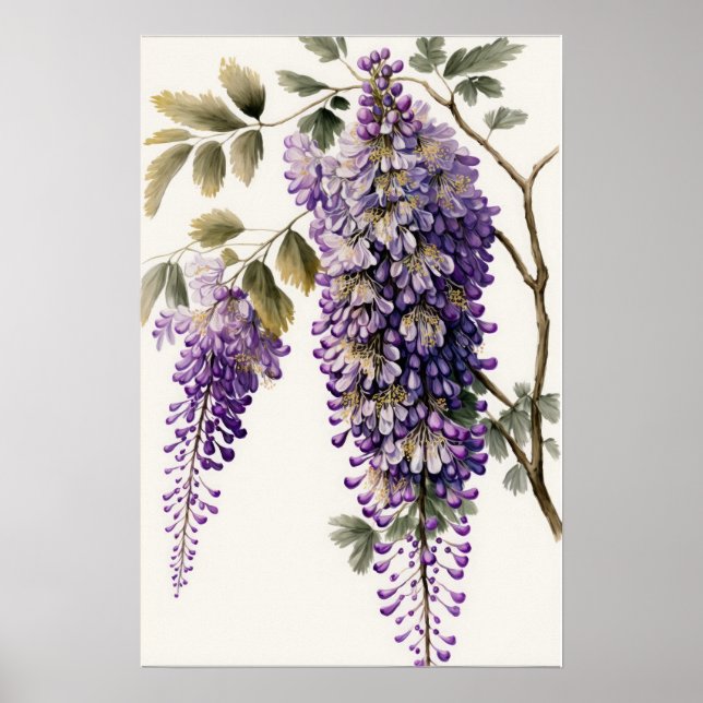 Purple Wisteria Flowers Art Impressão Poster (Frente)