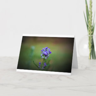 Púrpura Física, cartão