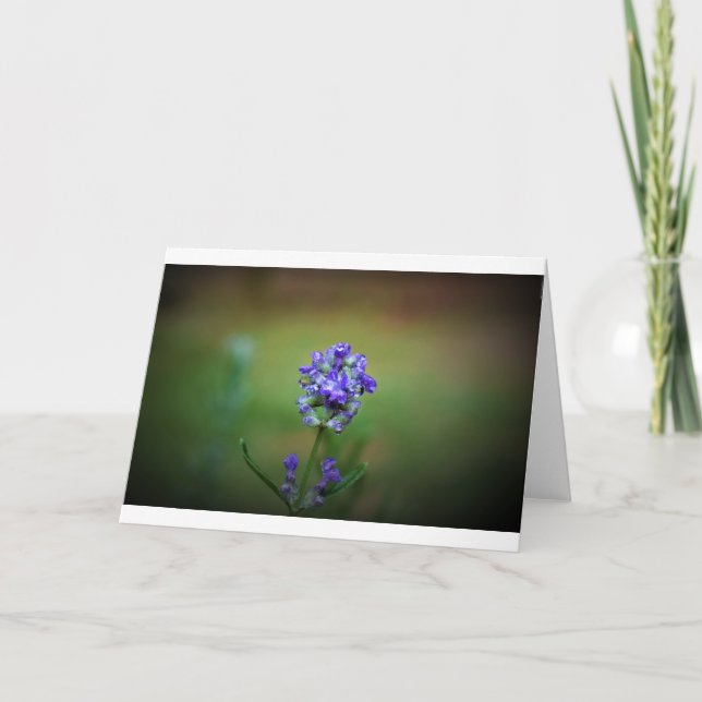 Púrpura Física, cartão (Frente)