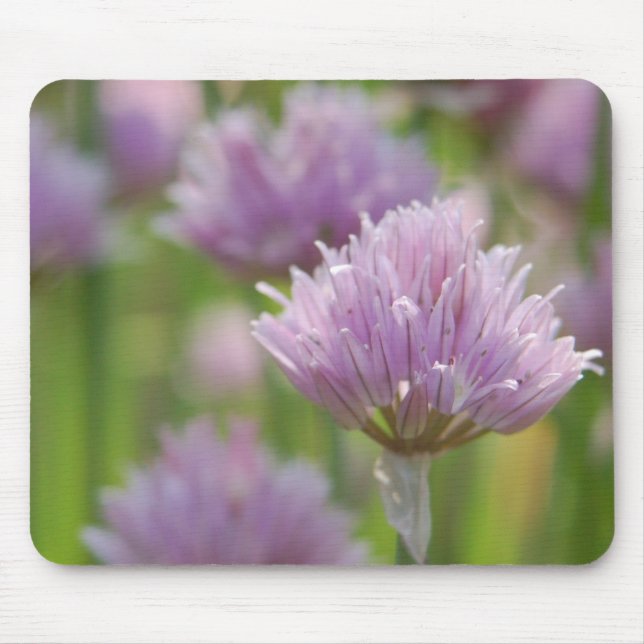 Púrpura Floral Mousepad (Frente)