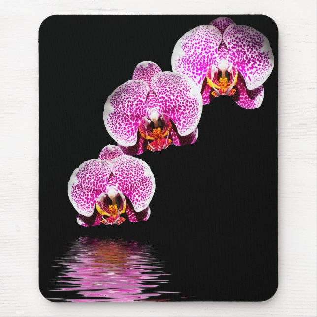 Púrpura Phalaenopsis Orquídeas Reflexos Mousepad (Frente)