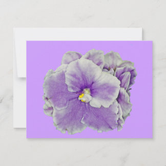 Púrpura Violeta Africana