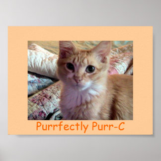 PURR-C Poster