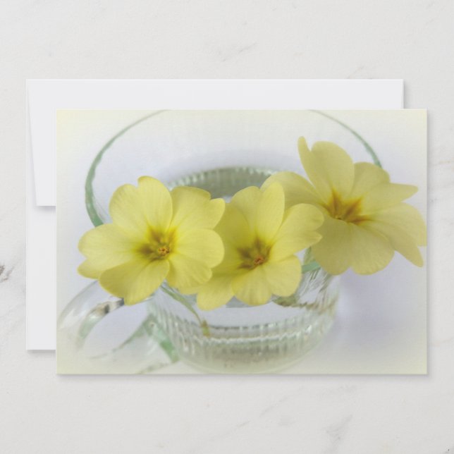 purrose em uma xícara de café (Frente)