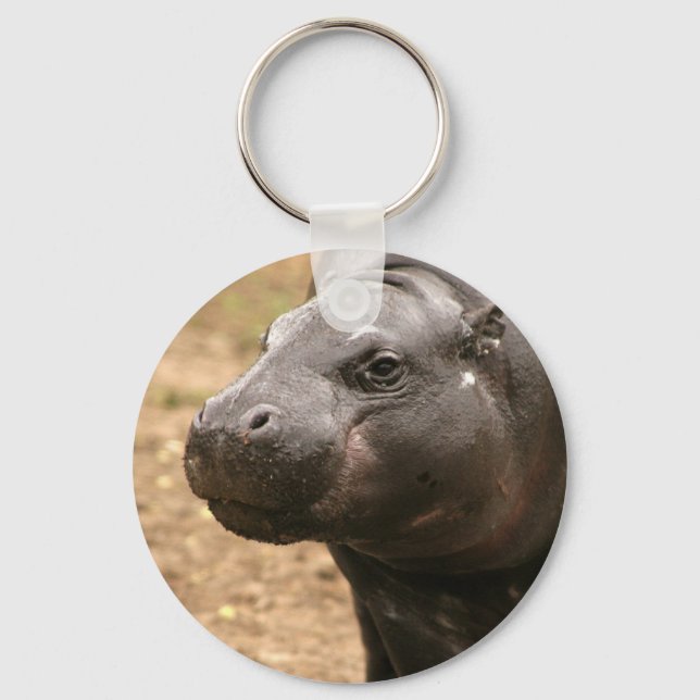 Pygmy Hippo Chaveiro (Frente)