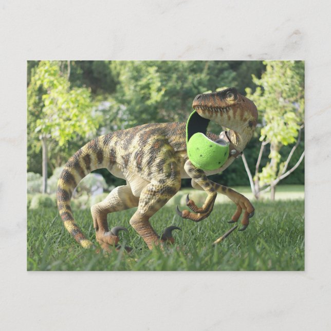 PygmyPets Raptor 3D - Cartão postal (Frente)