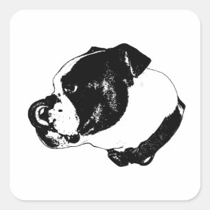 Quadrado Adesivo Bulldog Clean Line