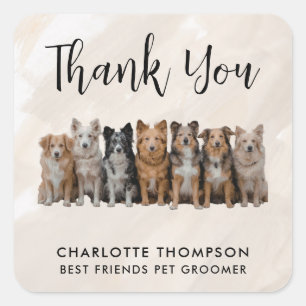 Quadrado Adesivo de Agradecimento Neutro para Pet Groomer