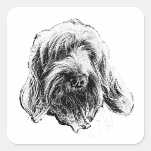 Quadrado Adesivo de Arte Spinone Italiano