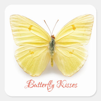 Quadrado Adesivo de beijos borboletas