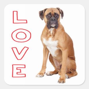 Quadrado Adesivo de Boas-Vindas Cachorrinho Boxer