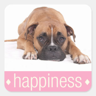 Quadrado Adesivo de Boas-Vindas Cachorrinho Boxer Feliz