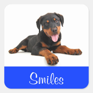 Quadrado Adesivo de Boas-Vindas de Cachorrinho Rottweiler S