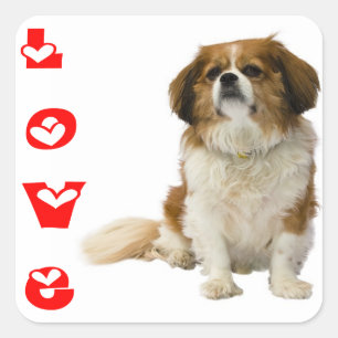 Quadrado Adesivo de Cachorrinho Cavalier King Charles Spani