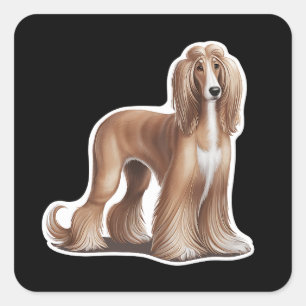 Quadrado Adesivo de cão afegão