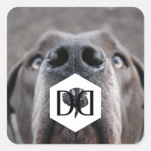 Quadrado Adesivo de criação de Dogue
