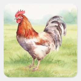 Quadrado Adesivo de Fazenda de Frangos