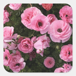 Quadrado Adesivo de flores rosa