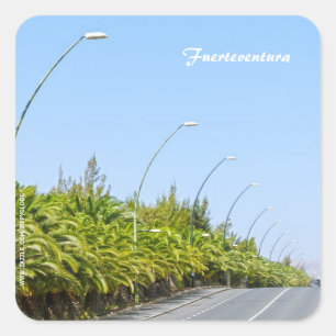 Quadrado Adesivo de Fuerteventura