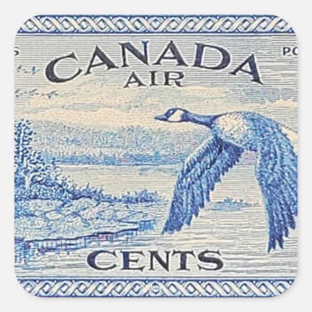 Quadrado Adesivo de ganso do Canadá (Frente)