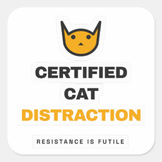 Quadrado Adesivo de Gato Divertido Distração de Gato Certif