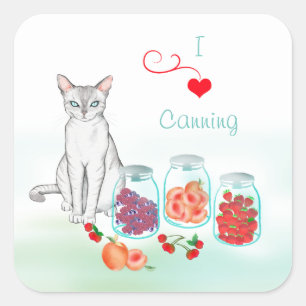 Quadrado Adesivo de Gato Real com Frutas Enlatadas em Potes
