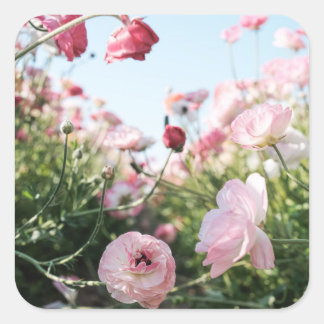 Quadrado Adesivo de jardim de flores rosa