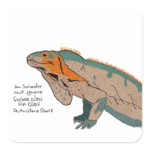 Adesivo de Lagarto de Rocha de San Salvador